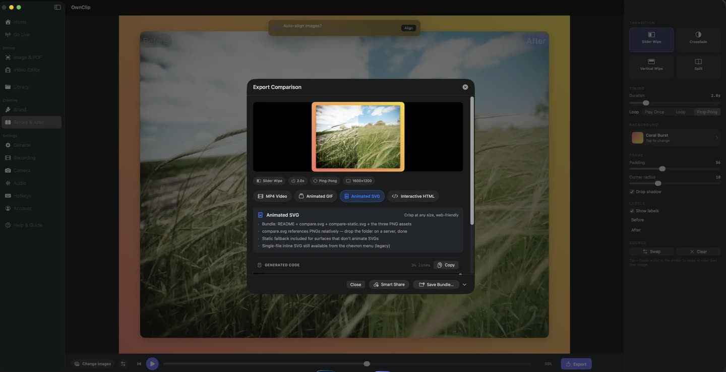 The OwnClip Export Comparison dialog offering MP4 video, animated GIF, animated SVG and interactive HTML output